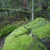 2013_03_02_026
