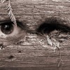 The Watcher (2006)
