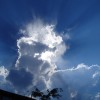 Angel Light (2006)